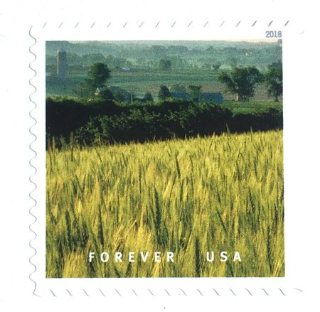 100 Green Field Forever Stamps Pastoral Rolling Hill Grass Landscape Unused Forever Postage Stamps for Mailing